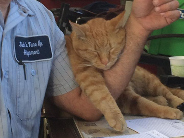 Jax at Jack's Tune Up & Alignment in Belton, MO