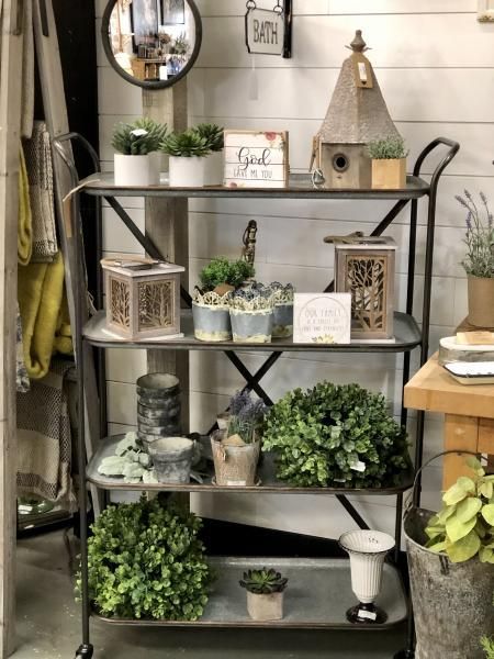 Decorative metal shelf with potted plants, lanterns, and home decor in a rustic indoor setting