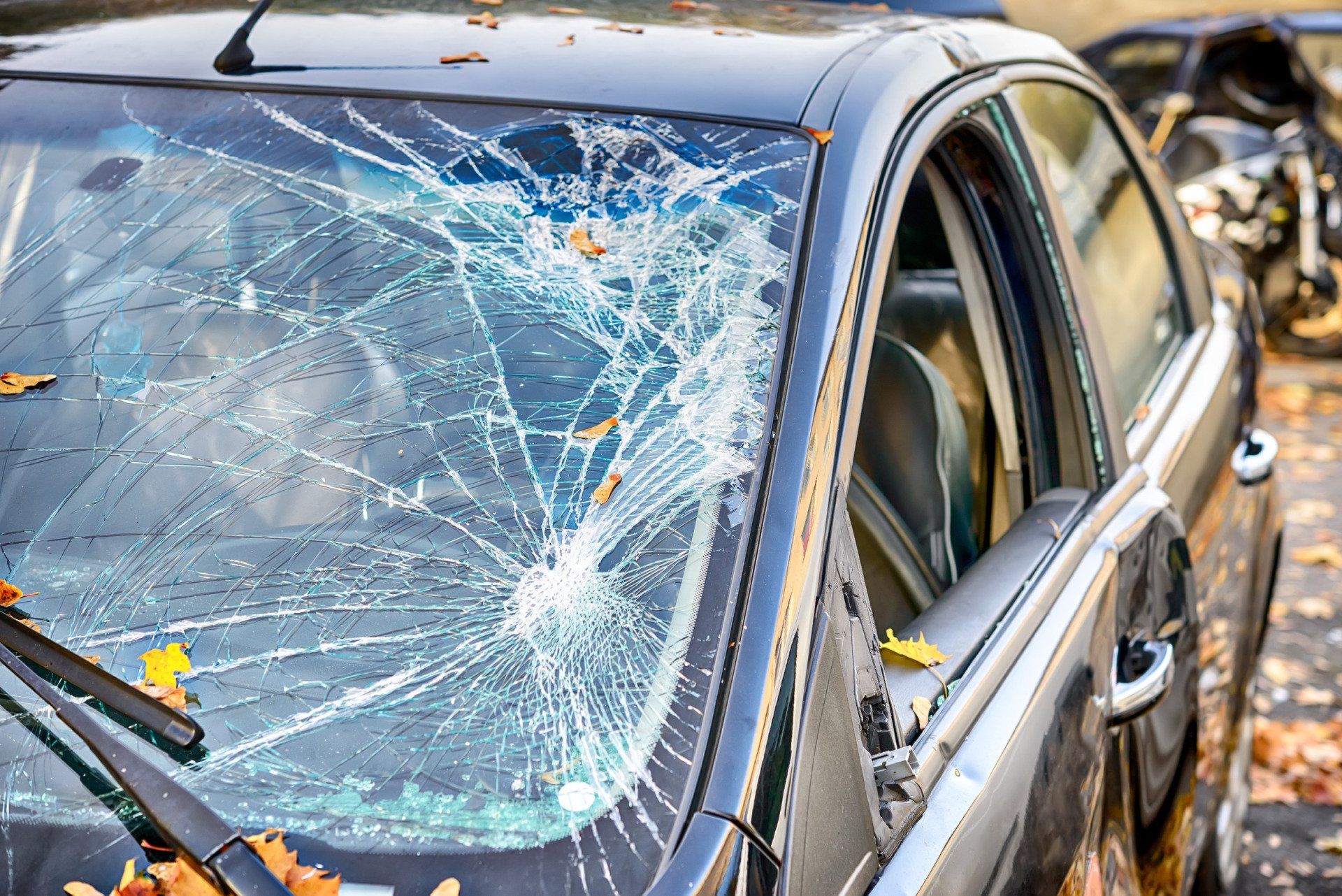 Steps To Replace Windshield Damaged By Arizona Riots