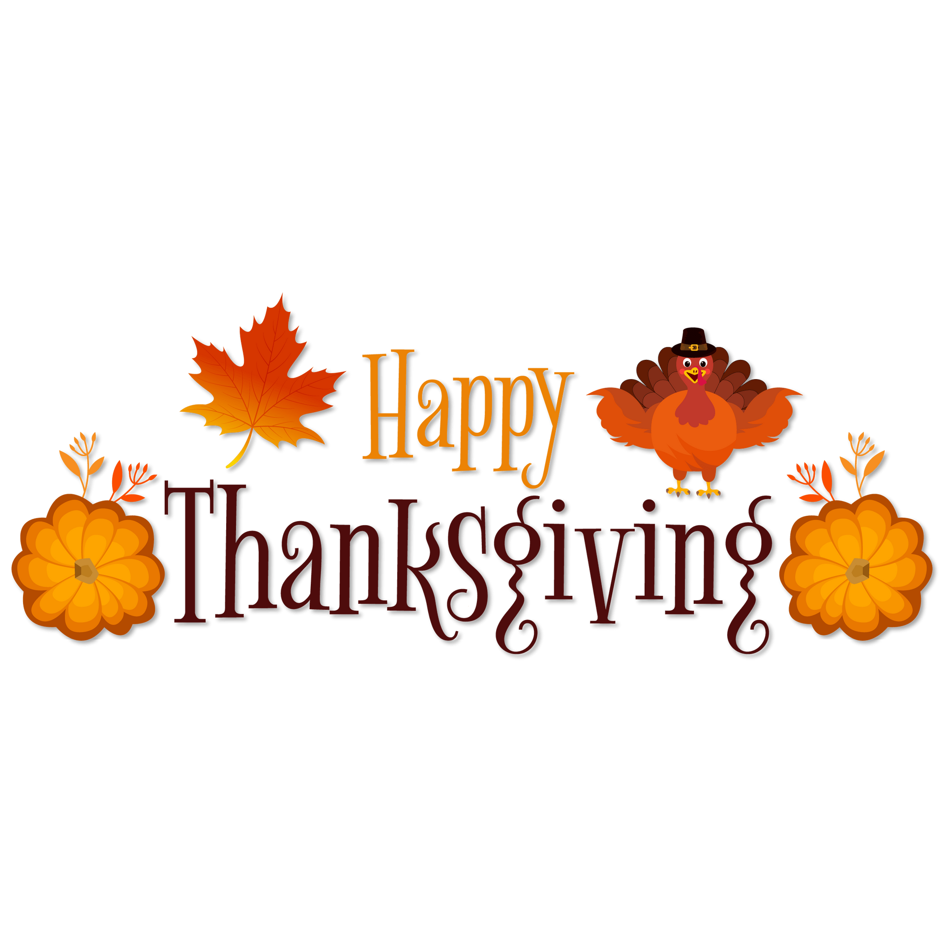 5 star professional windshield replacement Casa Grande Thanksgiving