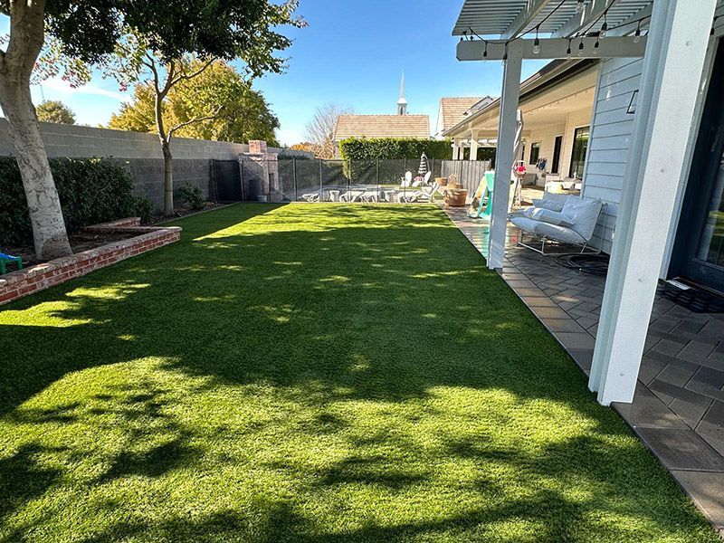 Green lawn in a backyard, with a house on the right and a fence in the background under a blue sky.