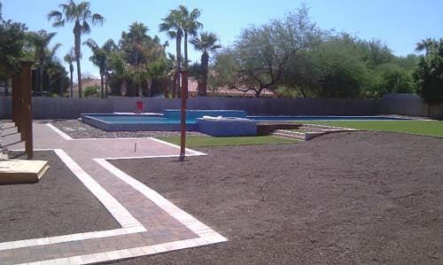 Backyard with pool, patio, palm trees, and brown yard.