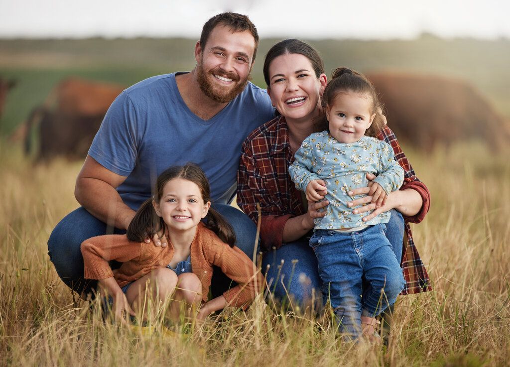 A family is posing for a picture in a field with cows in the background.
