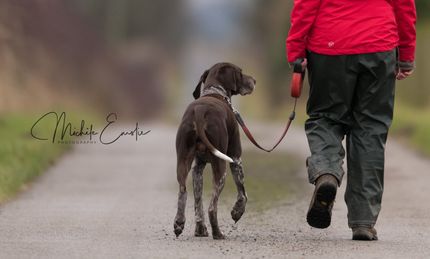 Kinmundy kennels store