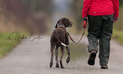 Kinmundy fashion kennels