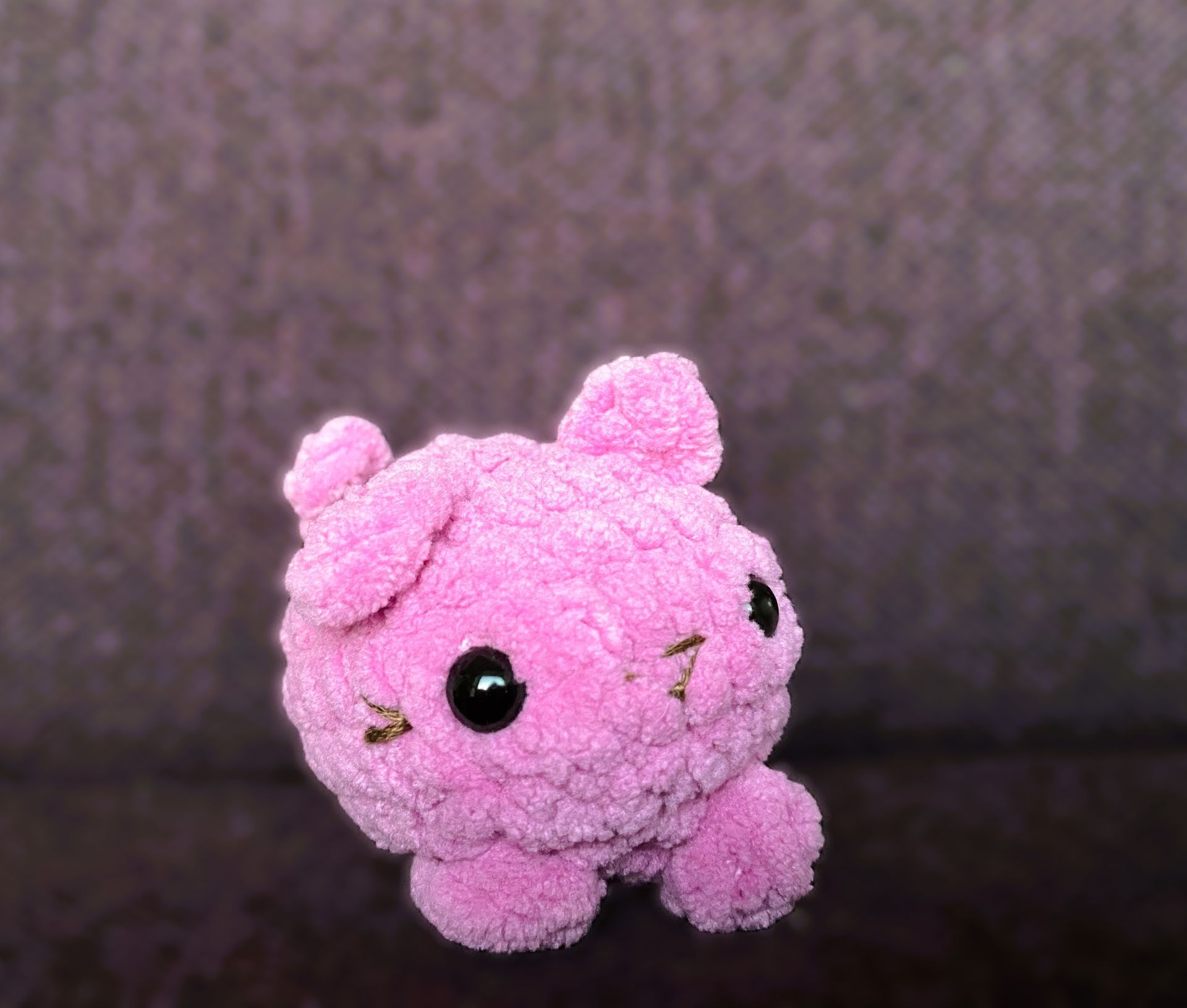 crochet-cat-vaseliu-nertas-zaislas-kaciukas