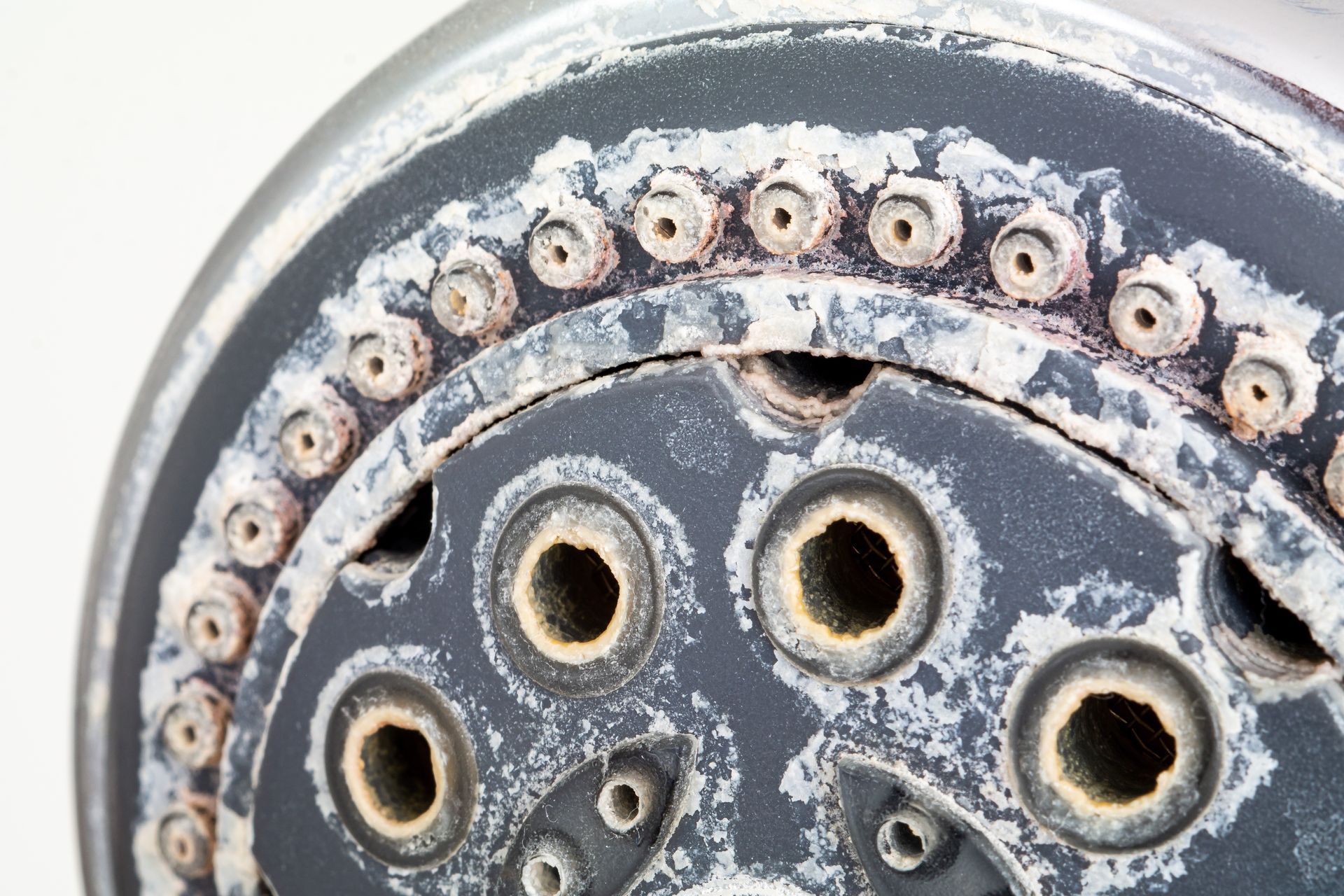 Close-up of a shower head covered in white mineral buildup and deposits.