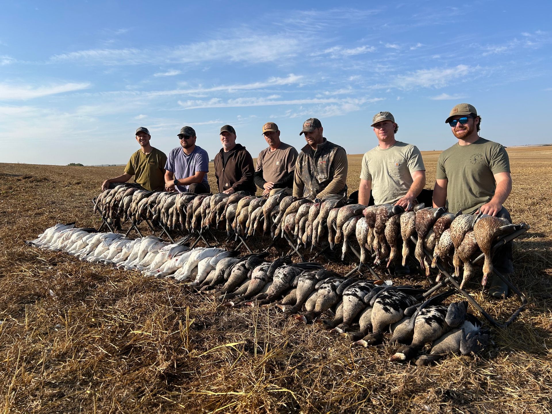 Hunt geese in Canada with Guide