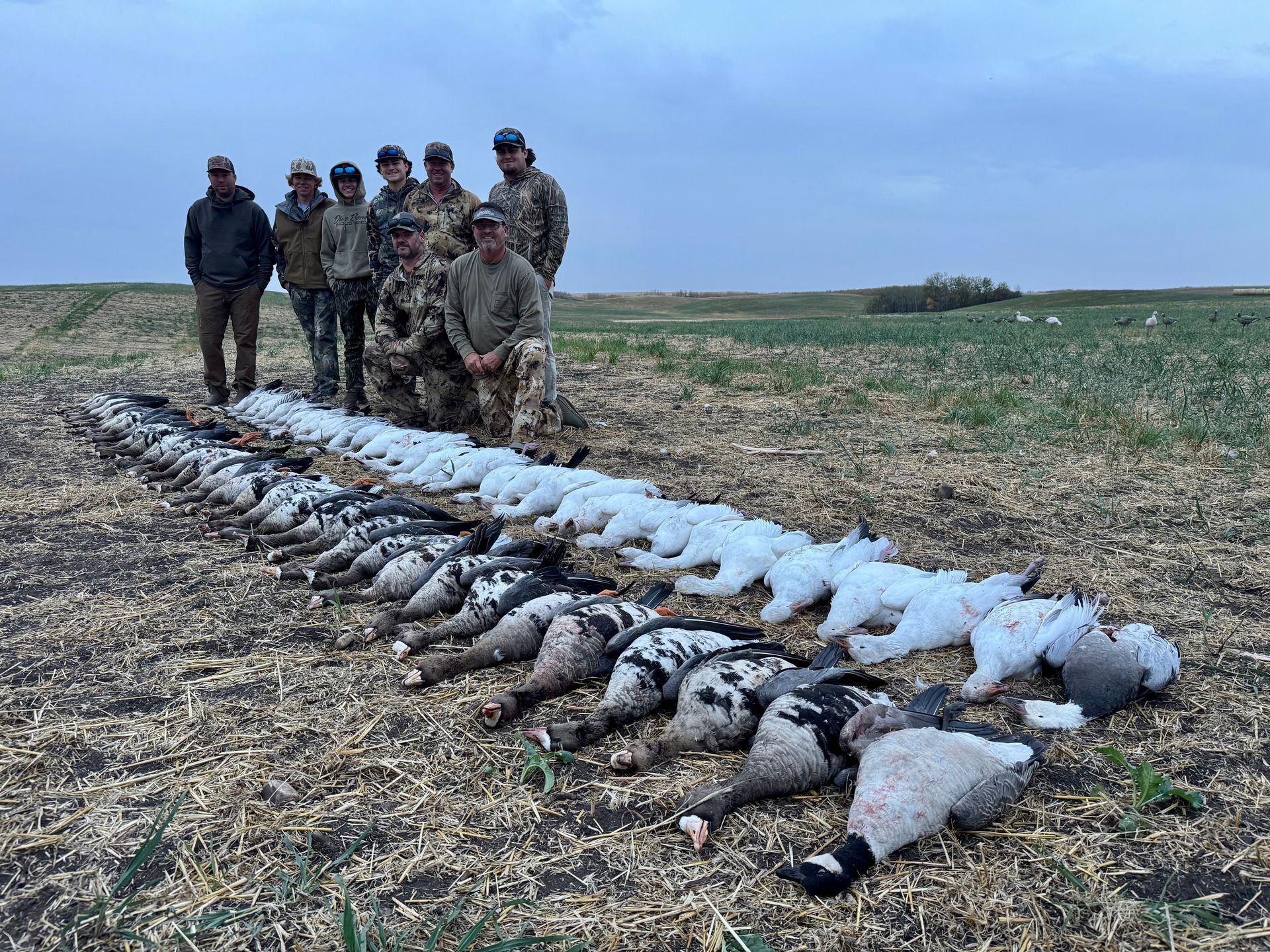 snow goose outfitter in Canada