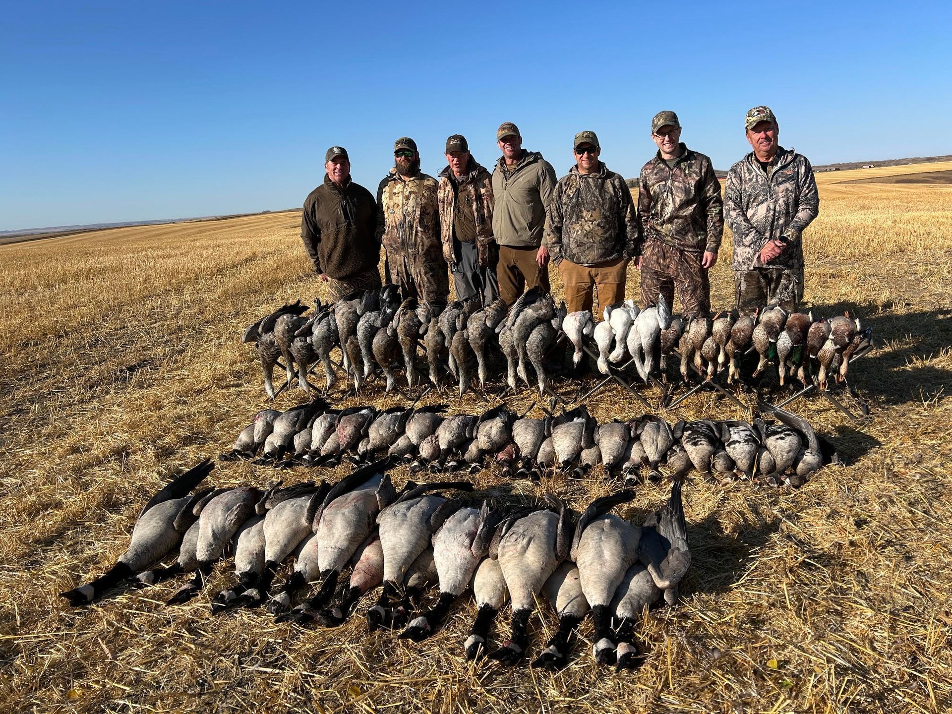 waterfowl guide Alberta Canada