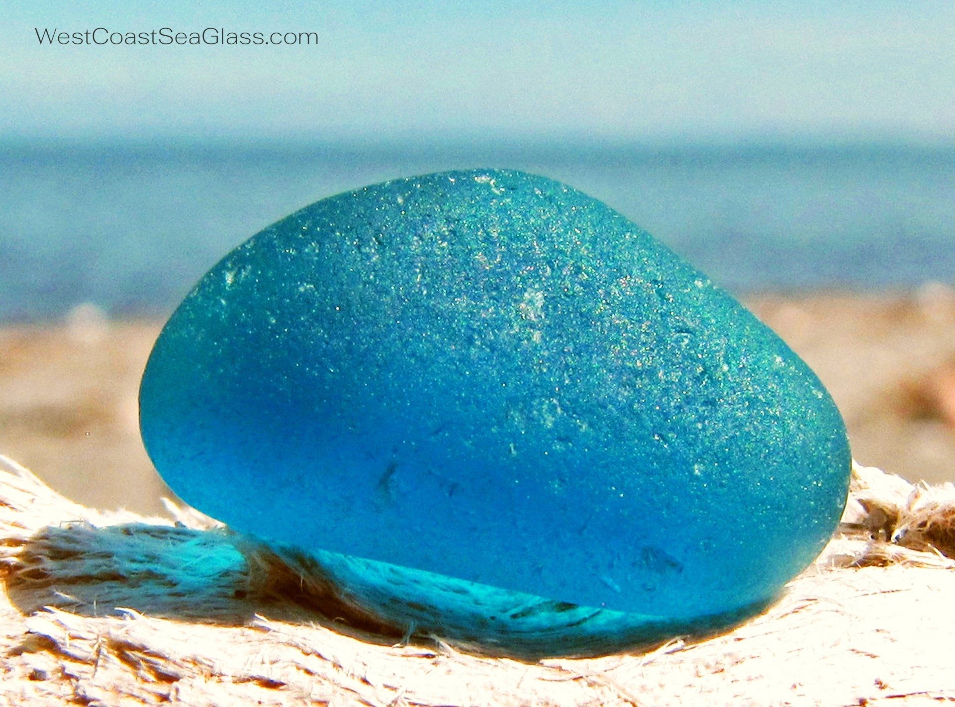 Rare, Pacific turquoise sea glass!