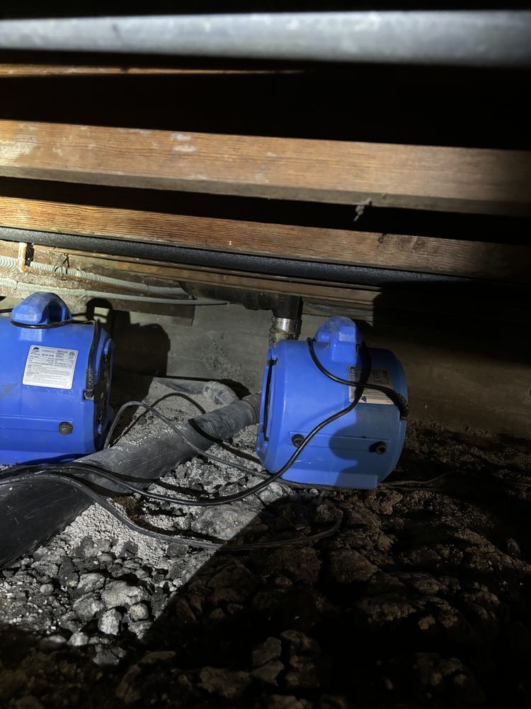 Two blue pumps in a dark crawl space beneath wooden beams, connected by black tubing and cords.
