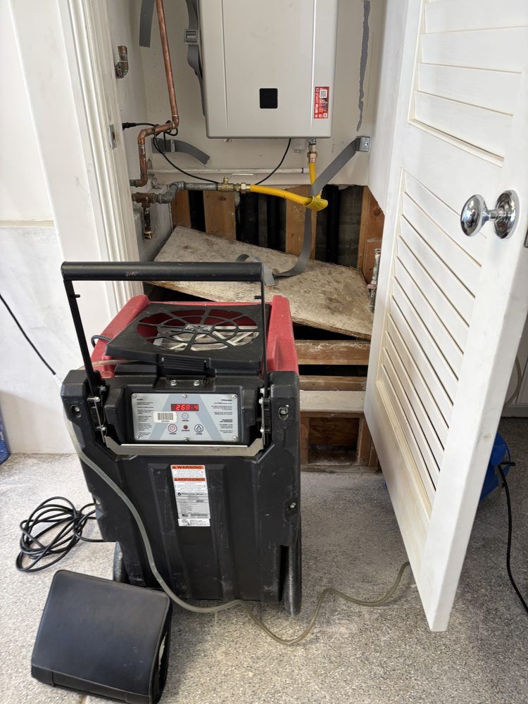 Dehumidifier in closet with damaged wall; water heater visible. Red/black machine, white door.