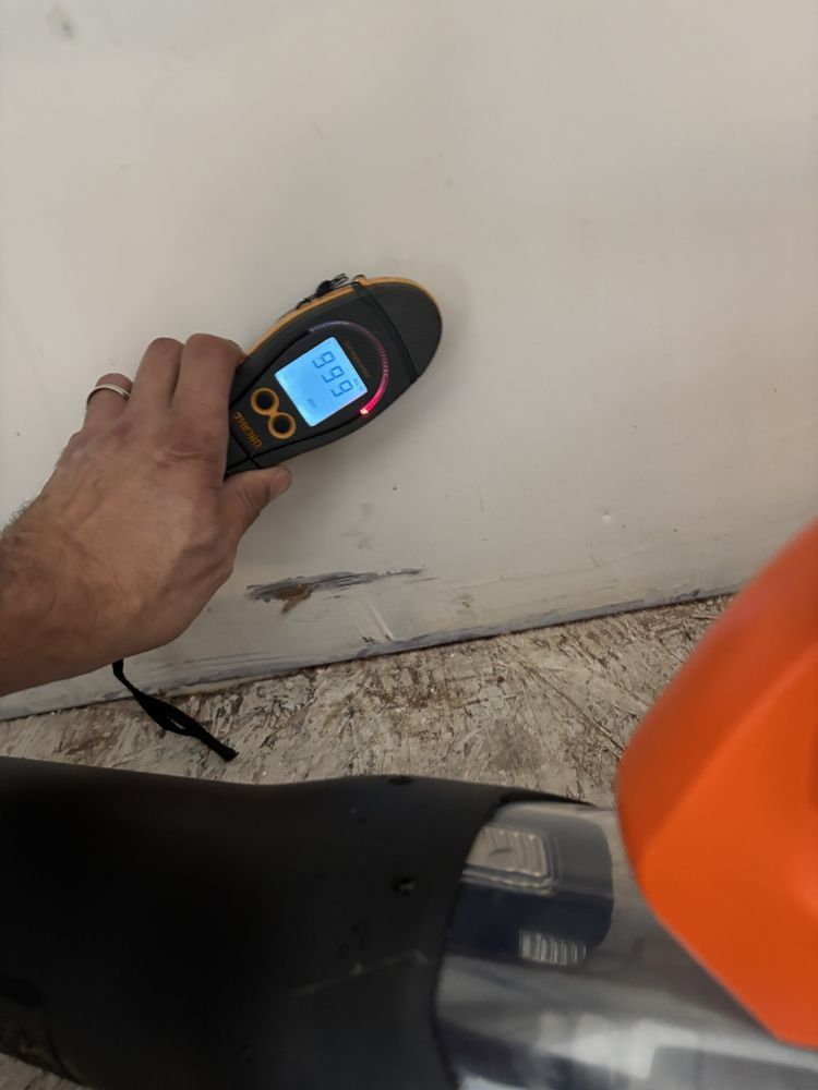 Hand holding a moisture meter against a wall, displaying a high reading. Orange jug in view.