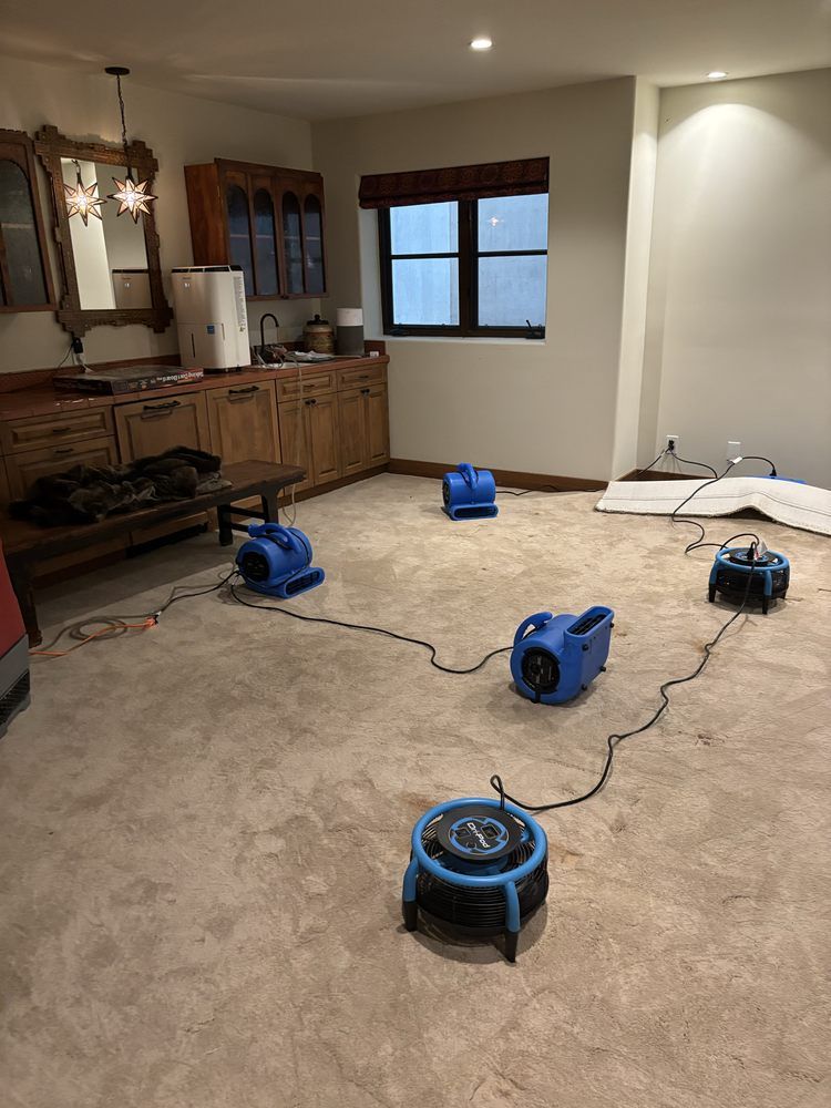 A room with five blue air movers on the carpet, suggesting water damage remediation.