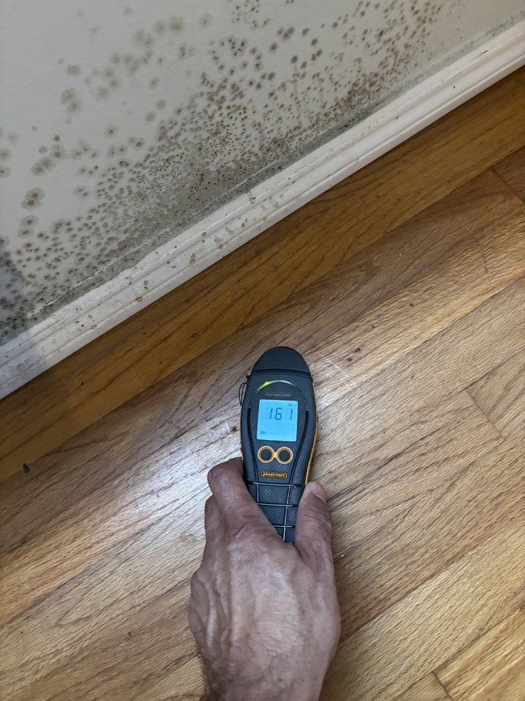 Hand holding a moisture meter near a wall with visible mold, next to a wood floor.