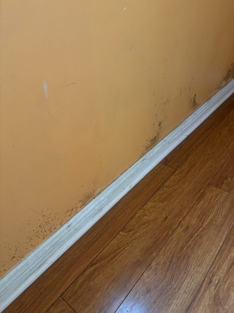 Orange wall with dark mold at the base, next to white baseboard and wooden floor.