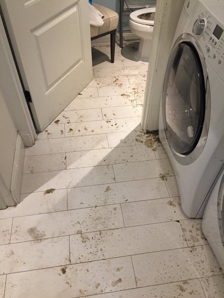 Muddy floor in a bathroom with an open door leading to a toilet. A washer and dryer are on the right.