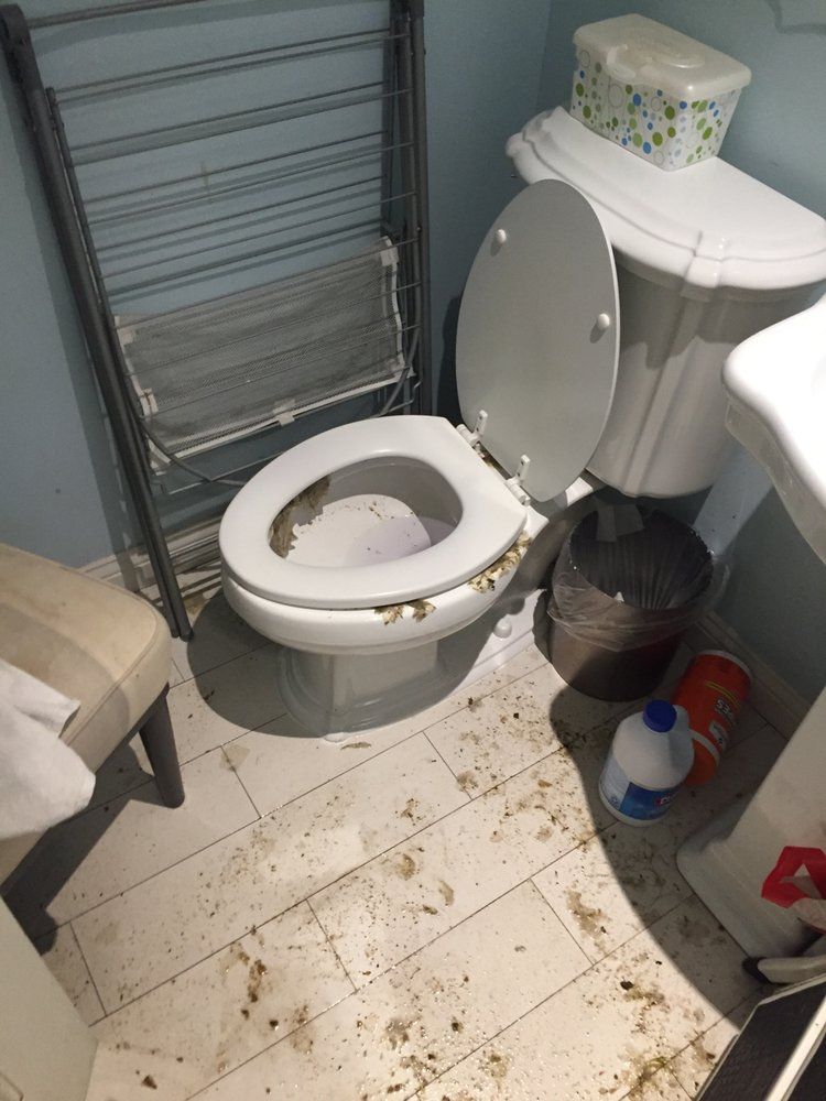 Cluttered bathroom with debris on the floor, toilet seat up, and laundry rack.