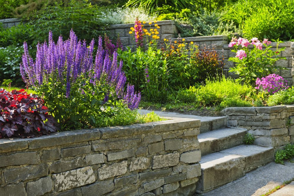 A Stone Wall Surrounds A Garden Filled With Lots Of Flowers And Plants — Everyday Maintenance Pty Ltd In Beaconsfield, QLD