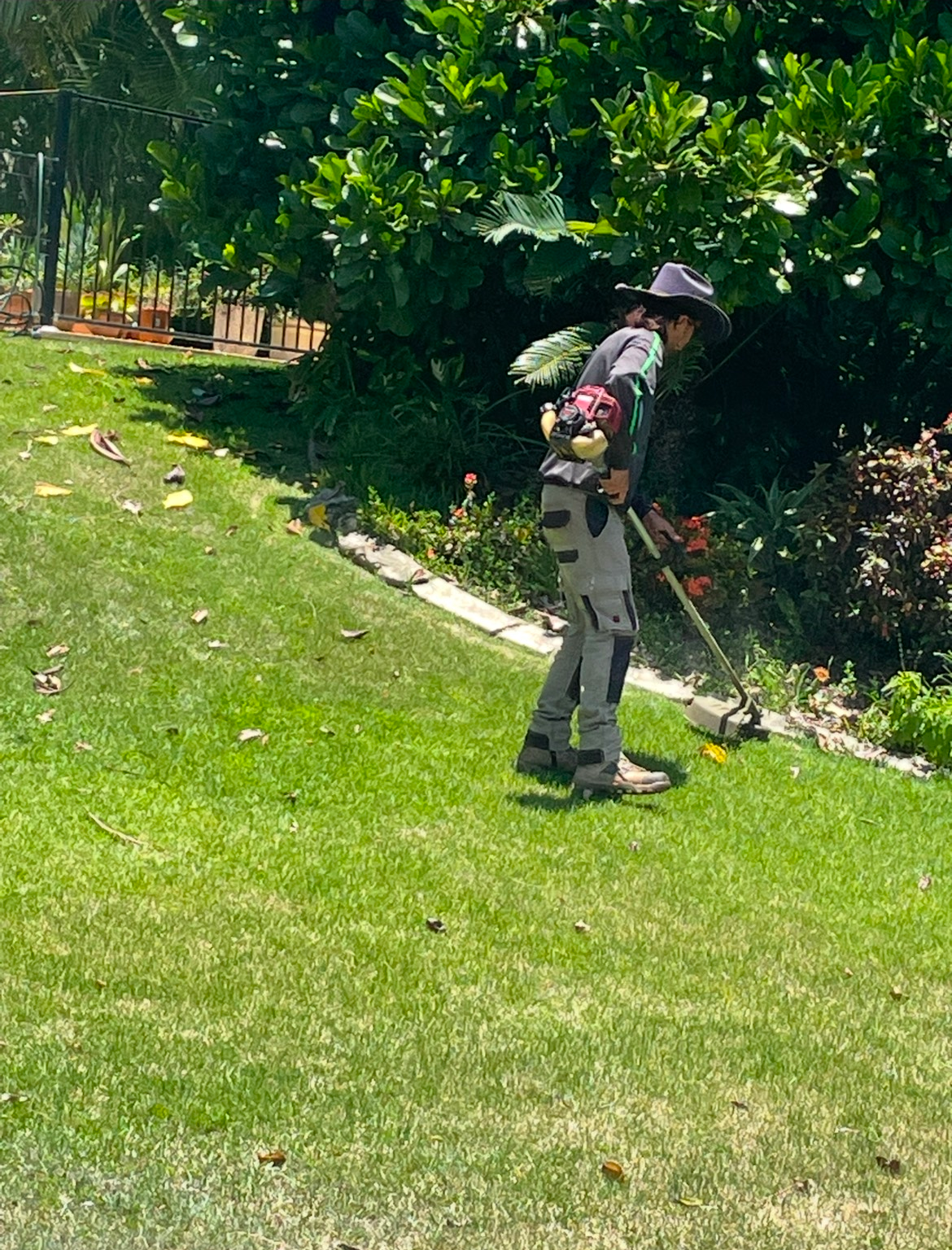 A Close Up Of A Lawn Mower In The Grass — Everyday Maintenance Pty Ltd In Beaconsfield, QLD
