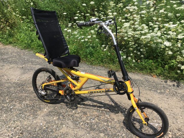 Cannondale recumbent bike online