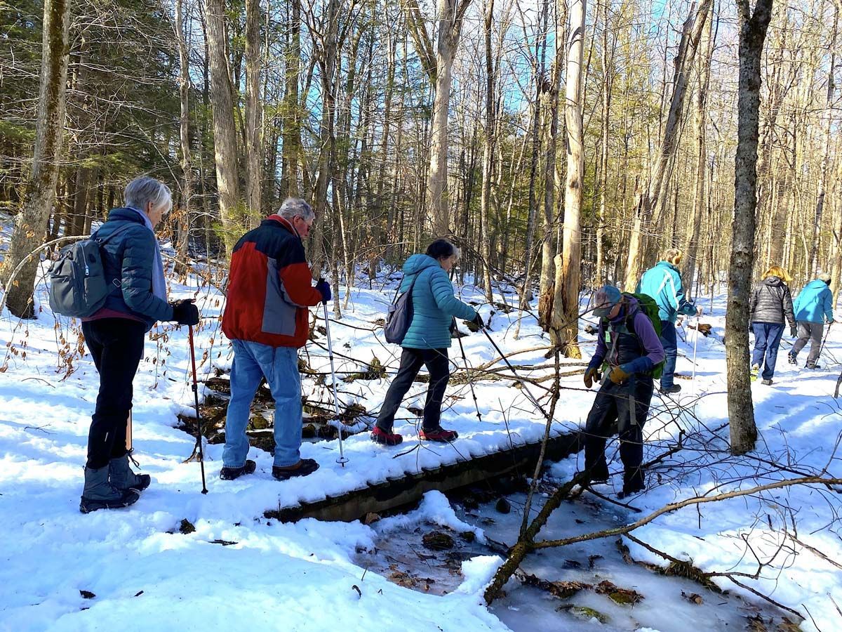 A group of senior-age hikers traverse a small bridge in the woods on a sunny, snowy day. Many use hiking poles.