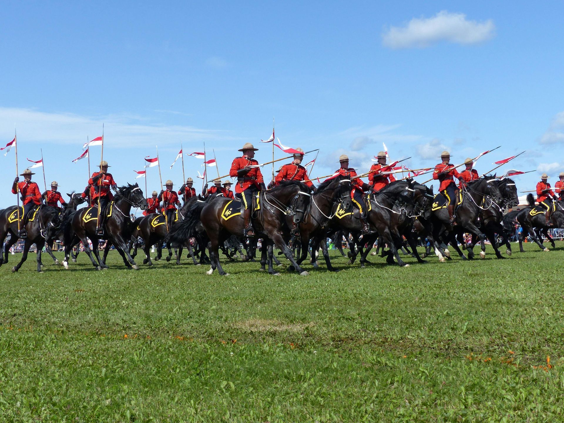 A large group of men are riding horses in a field.