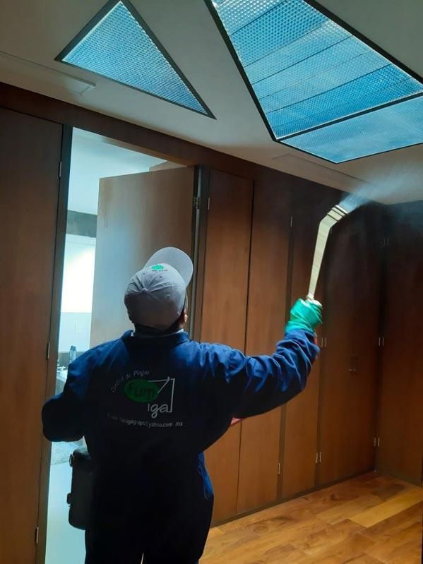 GRUPO FUMIGA - FUMIGACIÓN COMERCIAL
