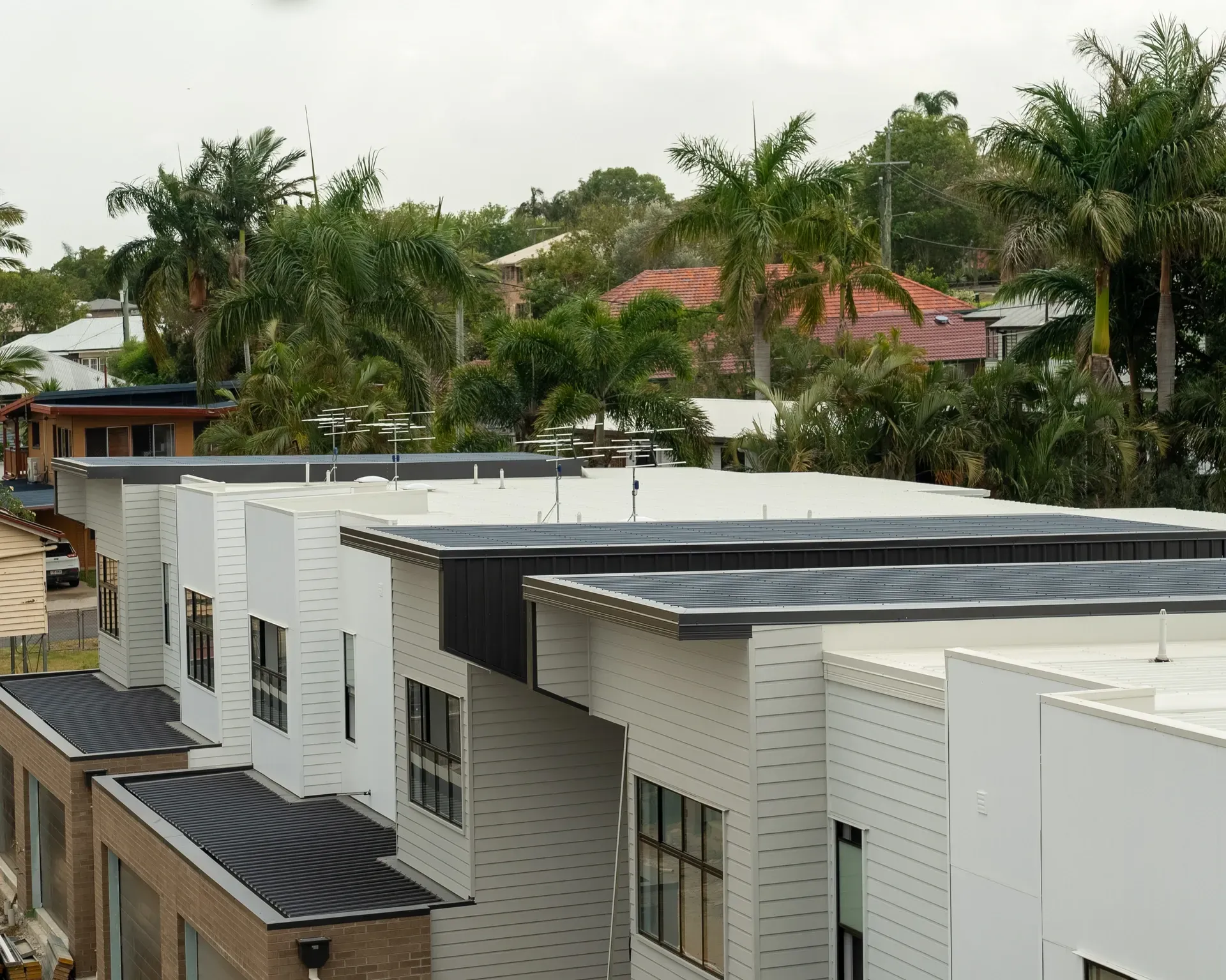 Row of modern townhouses with flat roofs; palm trees and houses in the background. — Smart Metal Roofing in Coomera, QLD