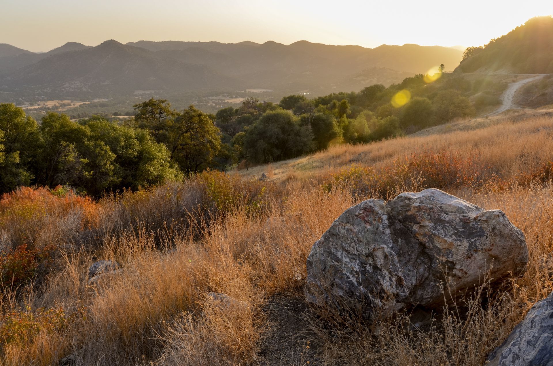 Photo of a hillside at sunset