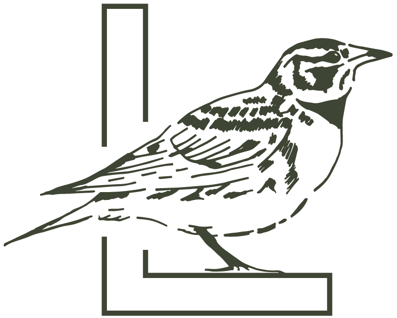 The Lark Bird Icon