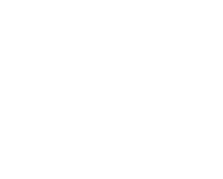 The Lark White Bird Icon
