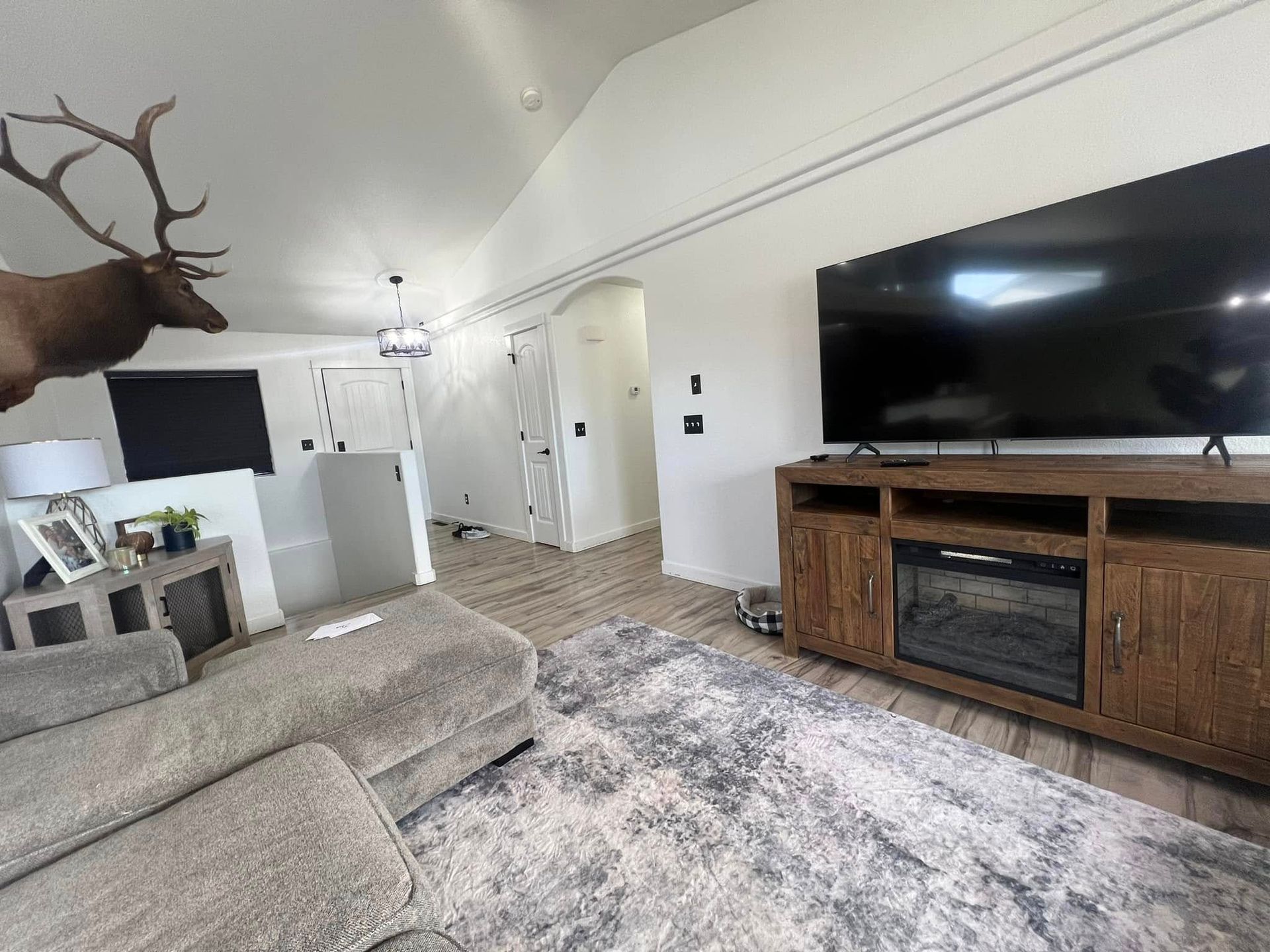 A living room with a deer head on the wall and a flat screen tv.