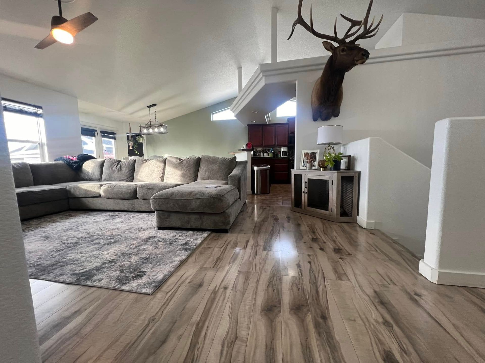 A living room with a couch and a deer head on the wall