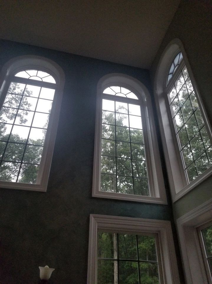 A room with a lot of windows and trees in the background