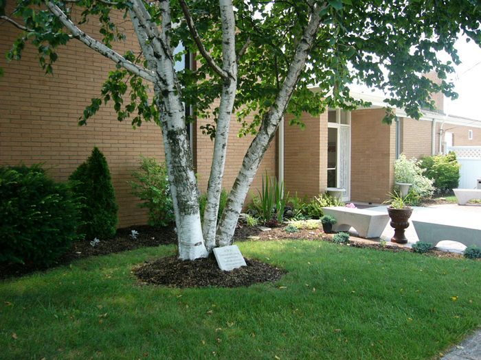 A brick building with a tree in front of it