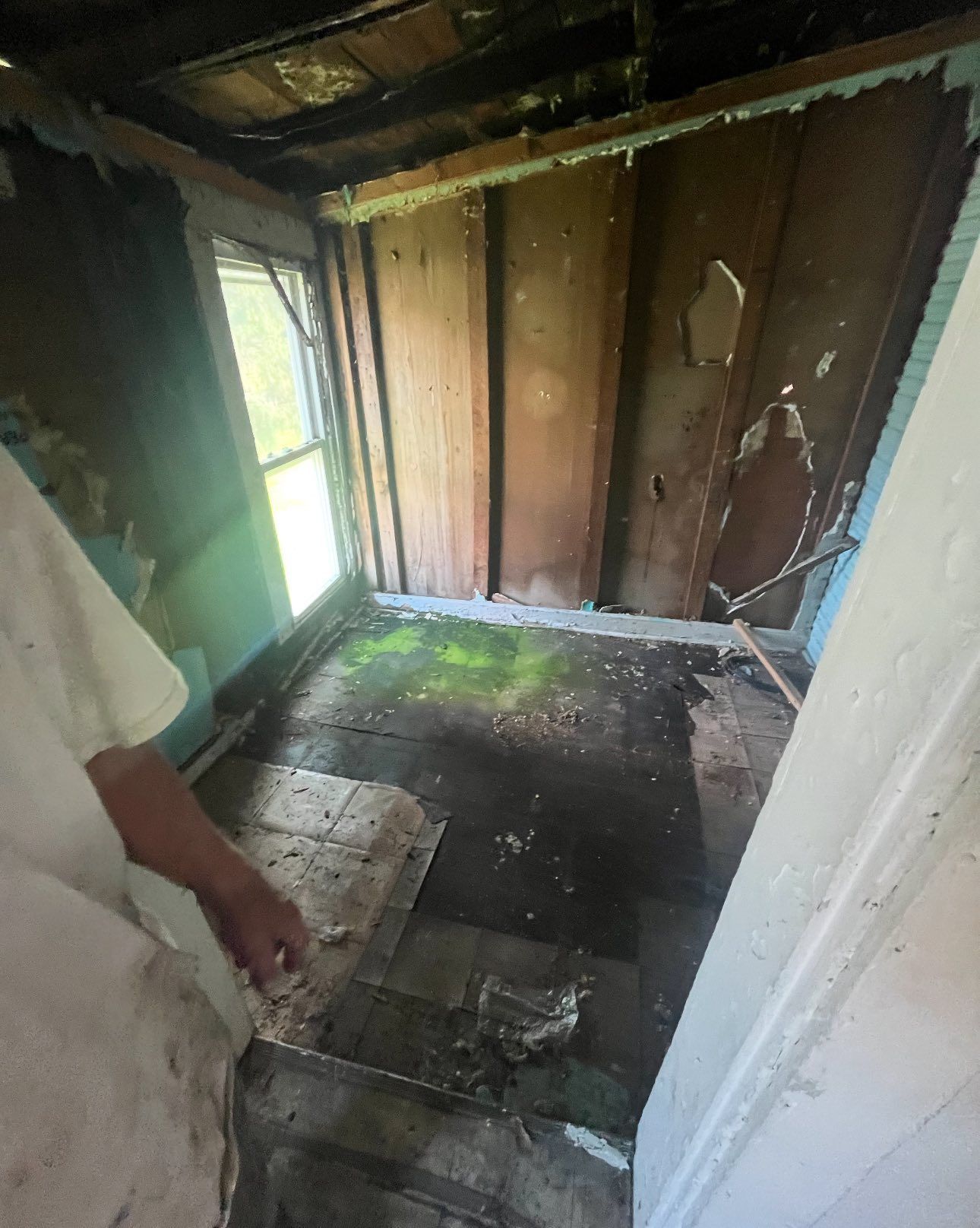 A view into a dilapidated room with exposed wooden wall panels, a dark floor with patches of green moss, and a window.