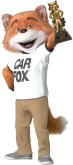 Carfax logo | Steveo's Garage LLC