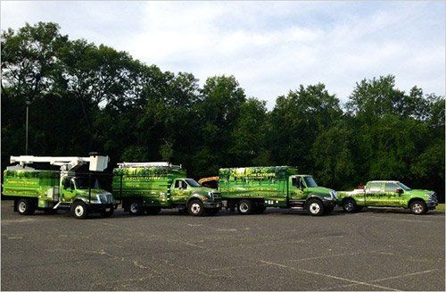 Company Equipment Vehicle - Tree Company in Haddon Heights, NJ