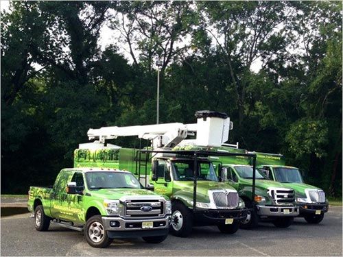 Haddon Tree Company Vehicles - Tree Company in Haddon Heights, NJ