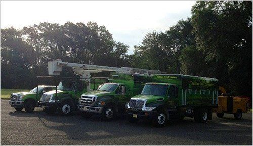 Haddon Tree Company Vehicle - Tree Company in Haddon Heights, NJ