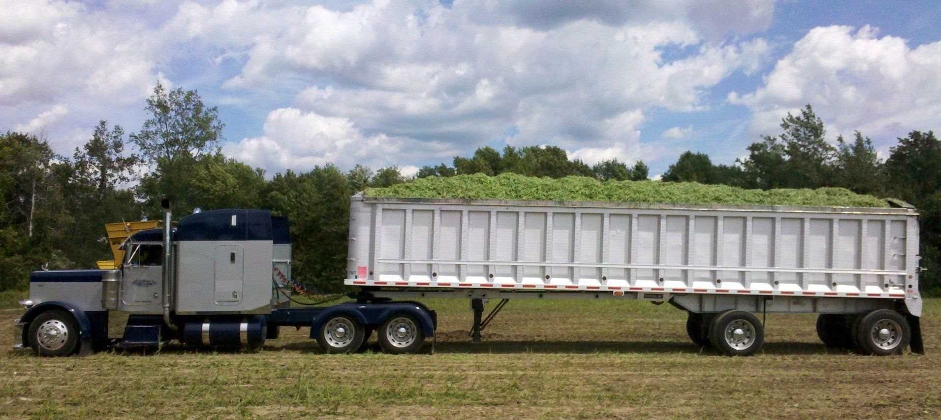 A semi truck with a trailer full of hay is parked in a field.