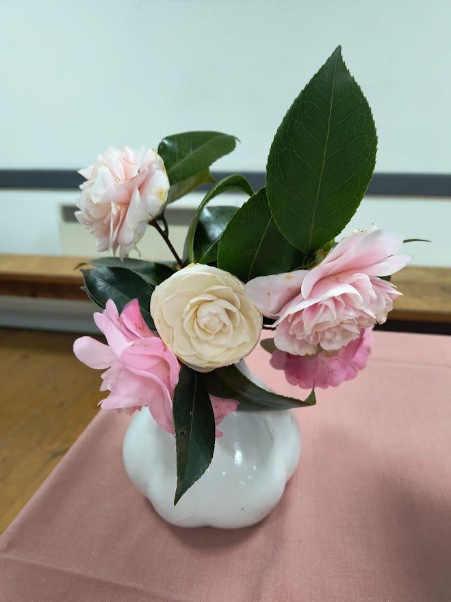 Photo shows pink and cream camellia flowers in white vase