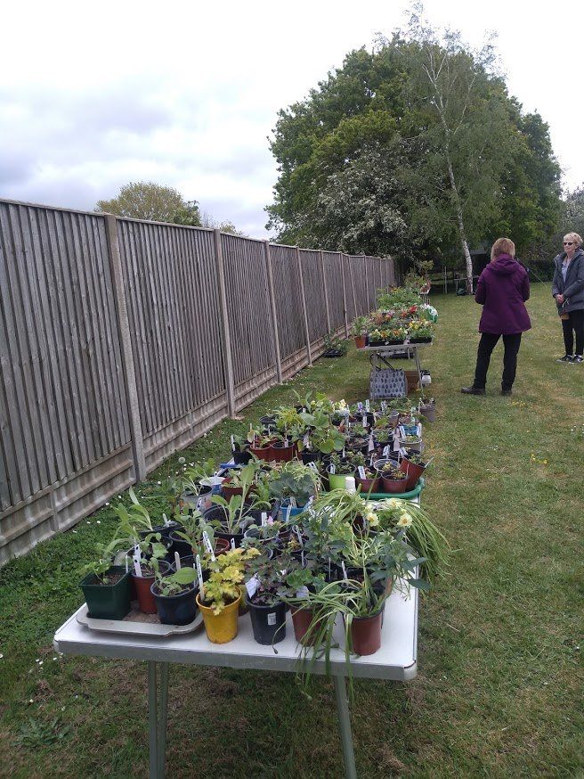 Photo of last year's plant sale