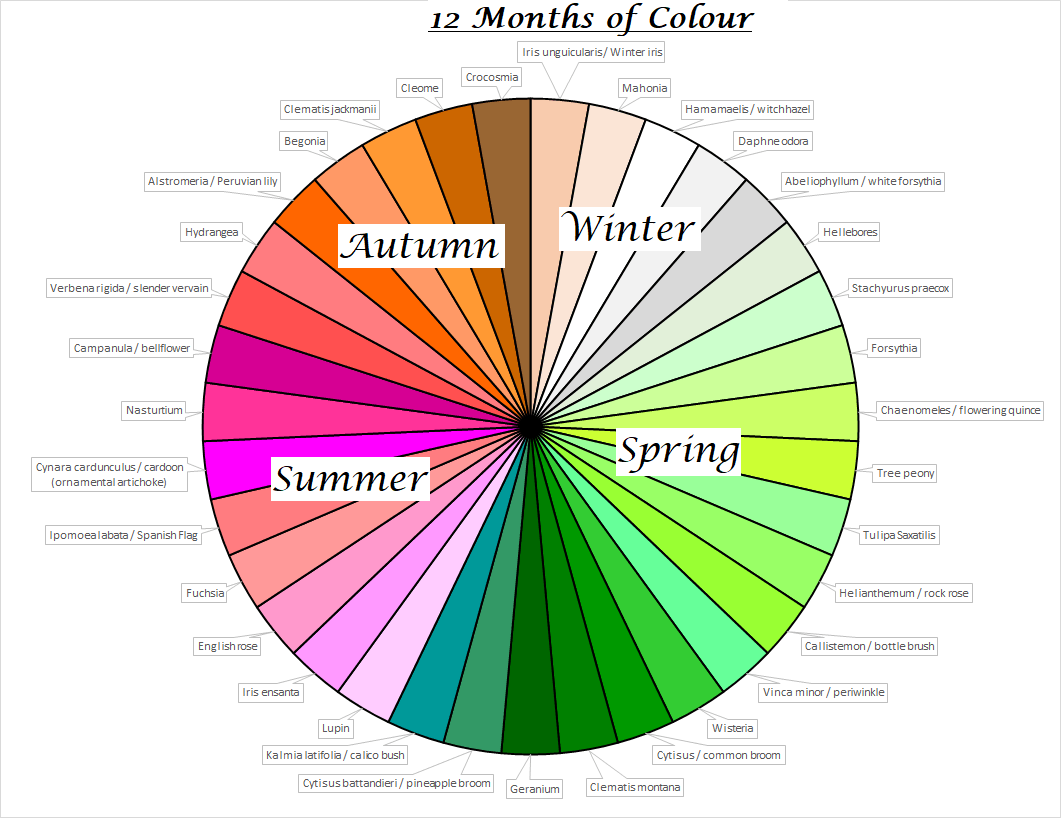 12 months of colour wheel, showing examples of plants to use at different times of the year