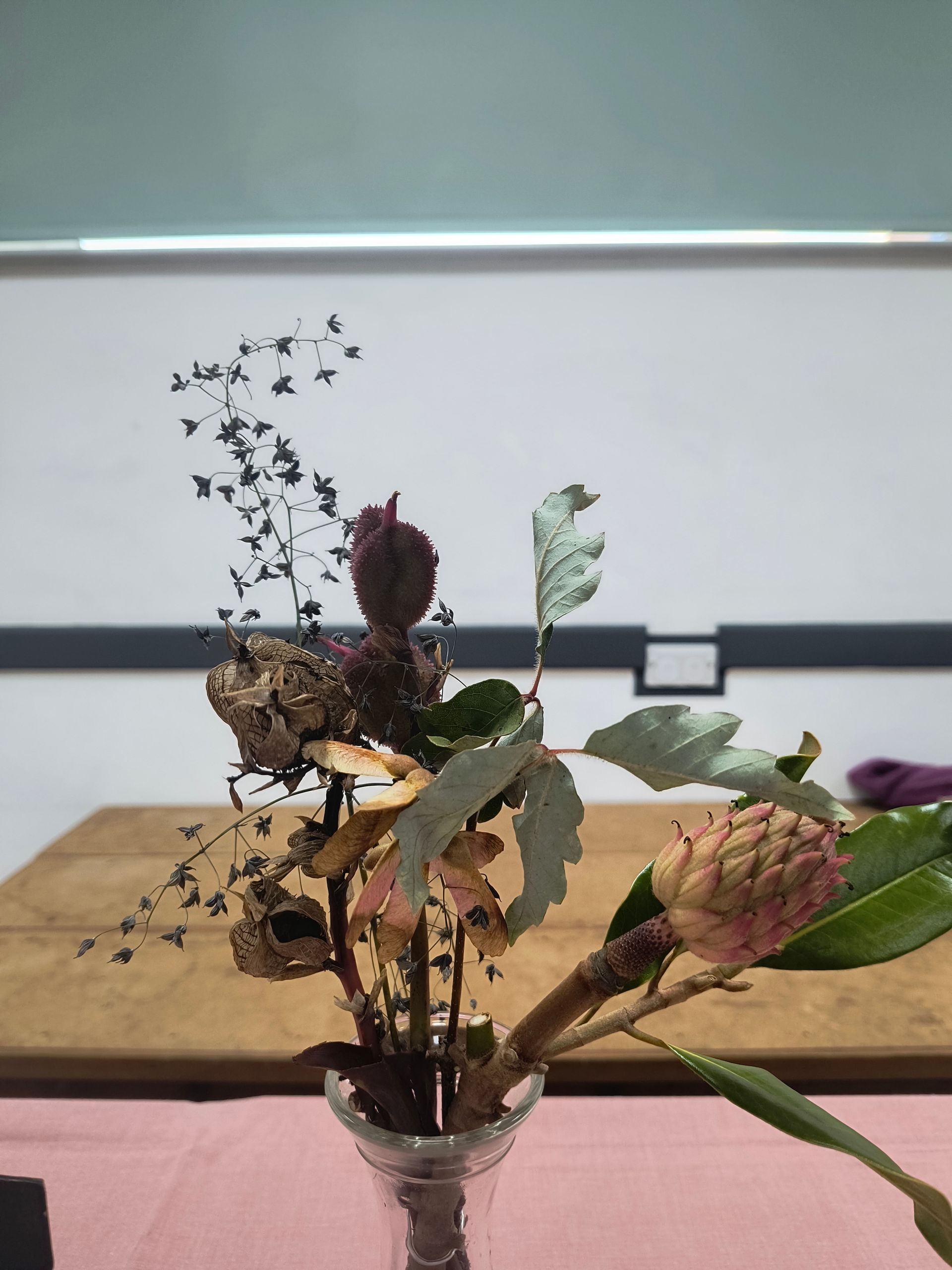 Photo shows an arrangement of dried flower heads