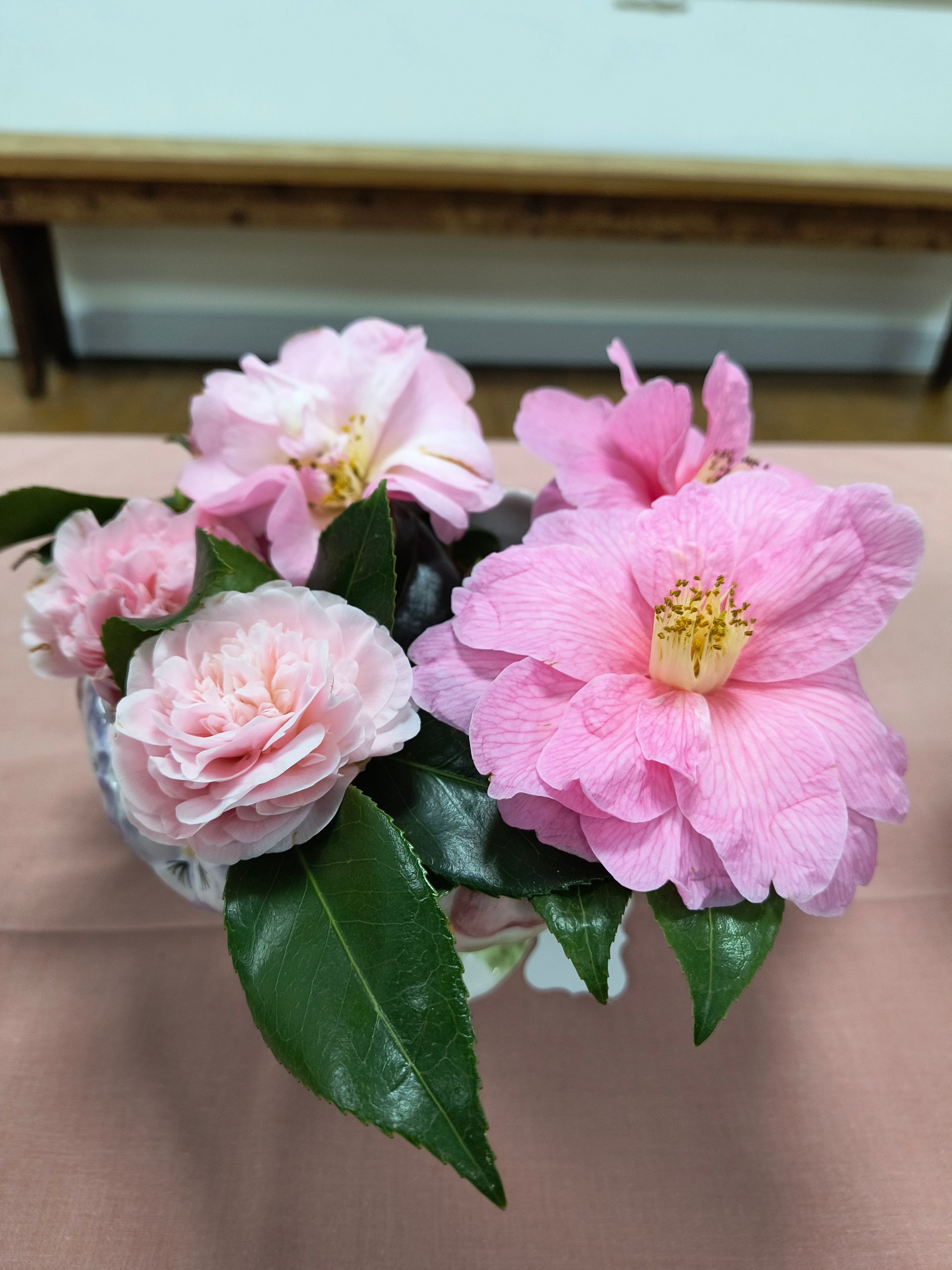 1st place Theresa D pink camellias