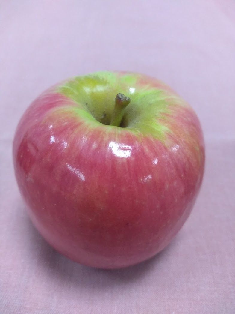 Photo of shiny red and green apple, first prize, Jen G