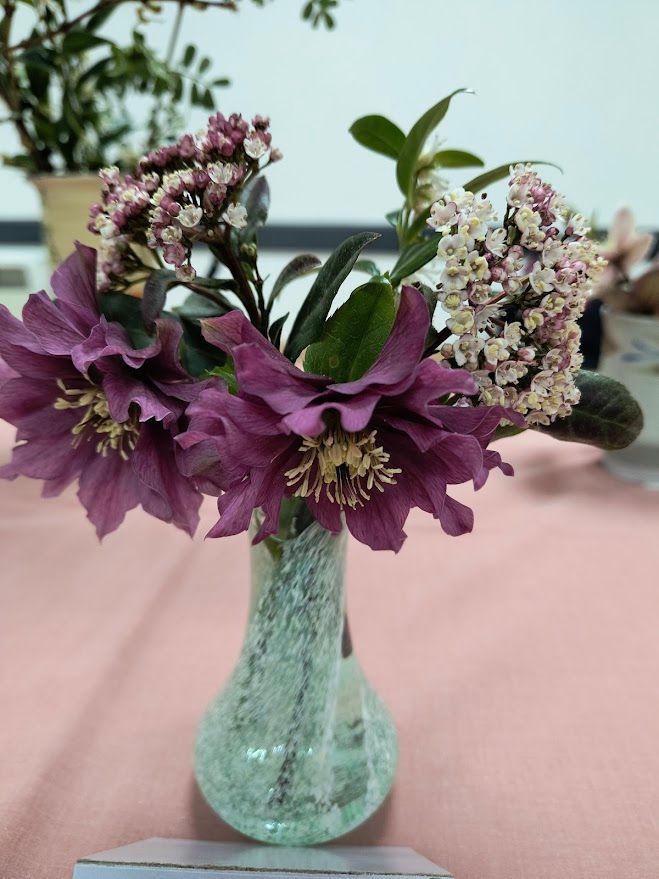 Photo shows purple hellebore and pale pink viburnum flowers in glass vase.  2nd prizewinner Jen G